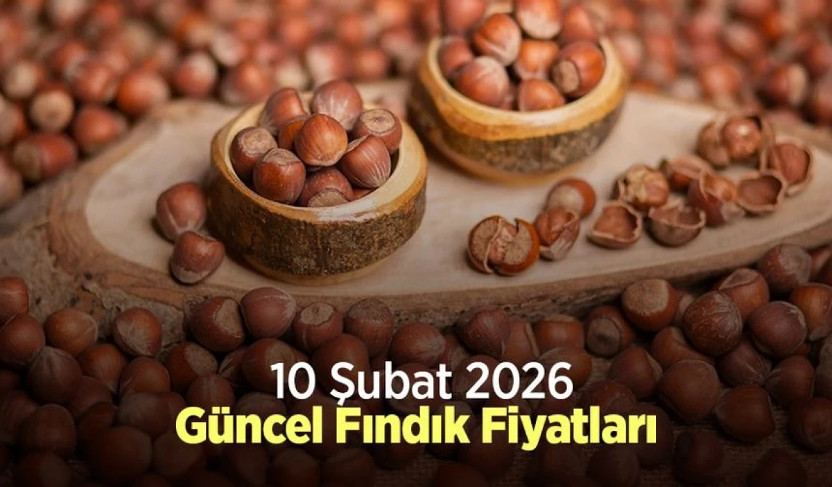 10 ŞUBAT  2026 G&Uuml;NCEL FINDIK FİYATLARI