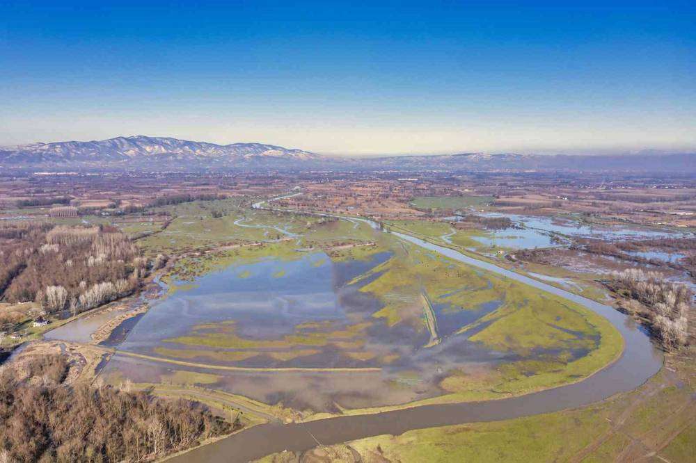 Efteni Gölü, doğal güzelliğiyle hayran bırakıyor
