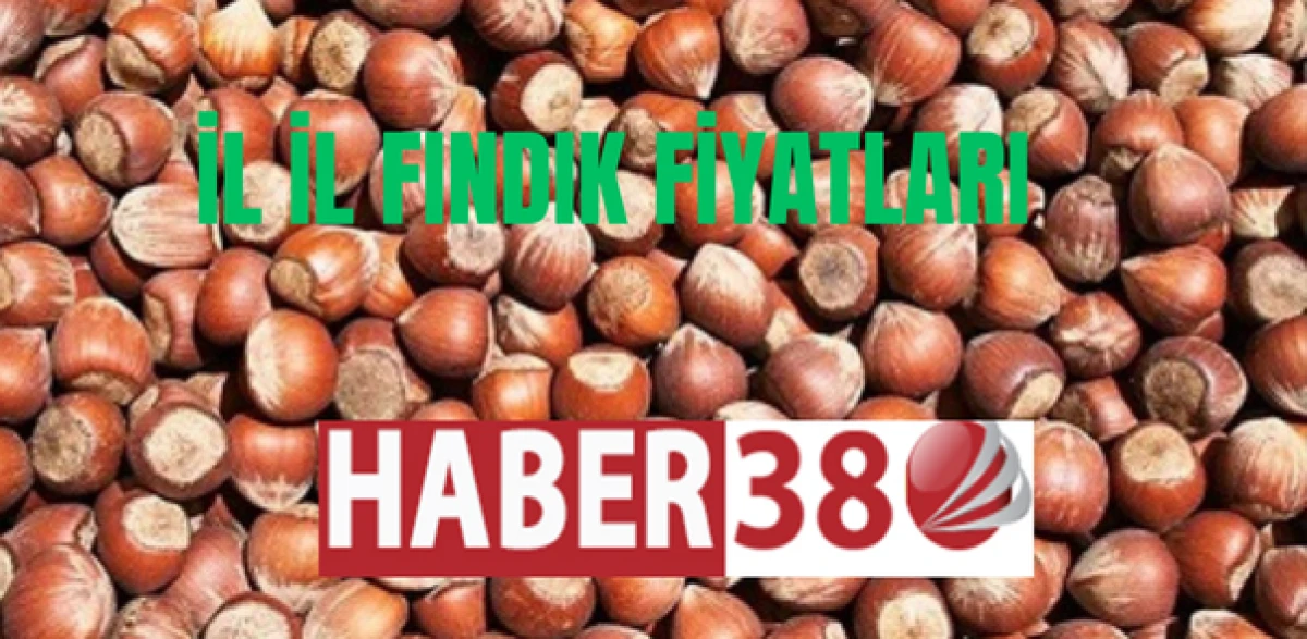 14 Ekim Salı   Fındık Fiyatları