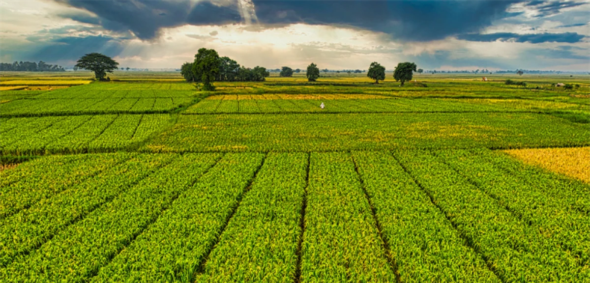 156 YEREL EYLEM GRUBUNA 2,2 MİLYAR LİRA HİBE DESTEĞİ VERİLECEK