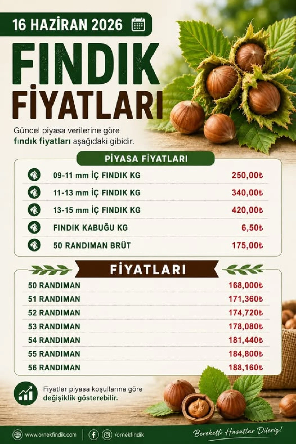 16 Haziran 2026 Fındık Fiyatları A&ccedil;ıklandı!
