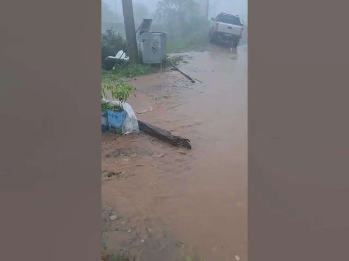 2 TON FINDIK SON ANDA KURTARILDI
