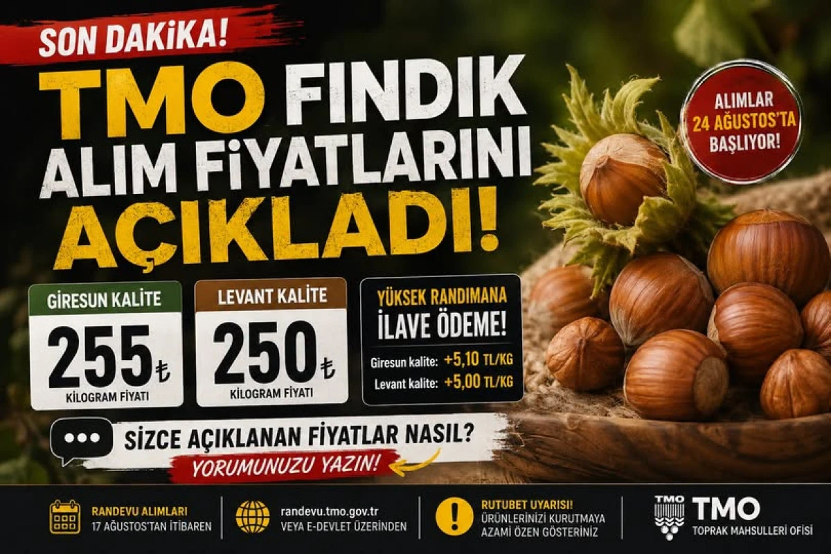 2026 fındık alım fiyatları a&ccedil;ıklandı!