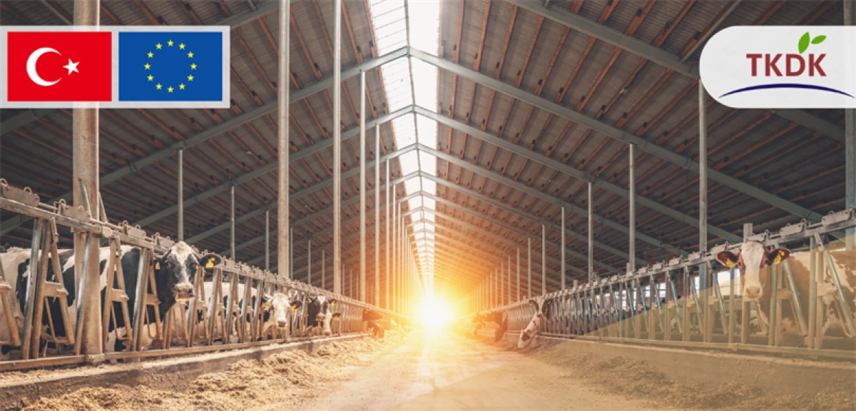 214 PROJEYE 1,7 MİLYAR LİRA HİBE VERİLECEK