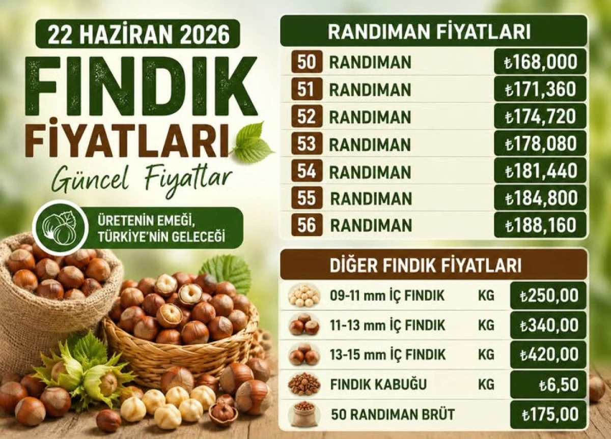 22 Haziran 2026 Fındık Fiyatları 