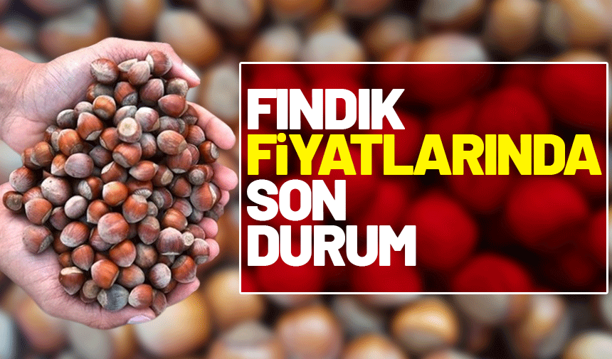 26 Ekim 2025 güncel fındık Fıyatları