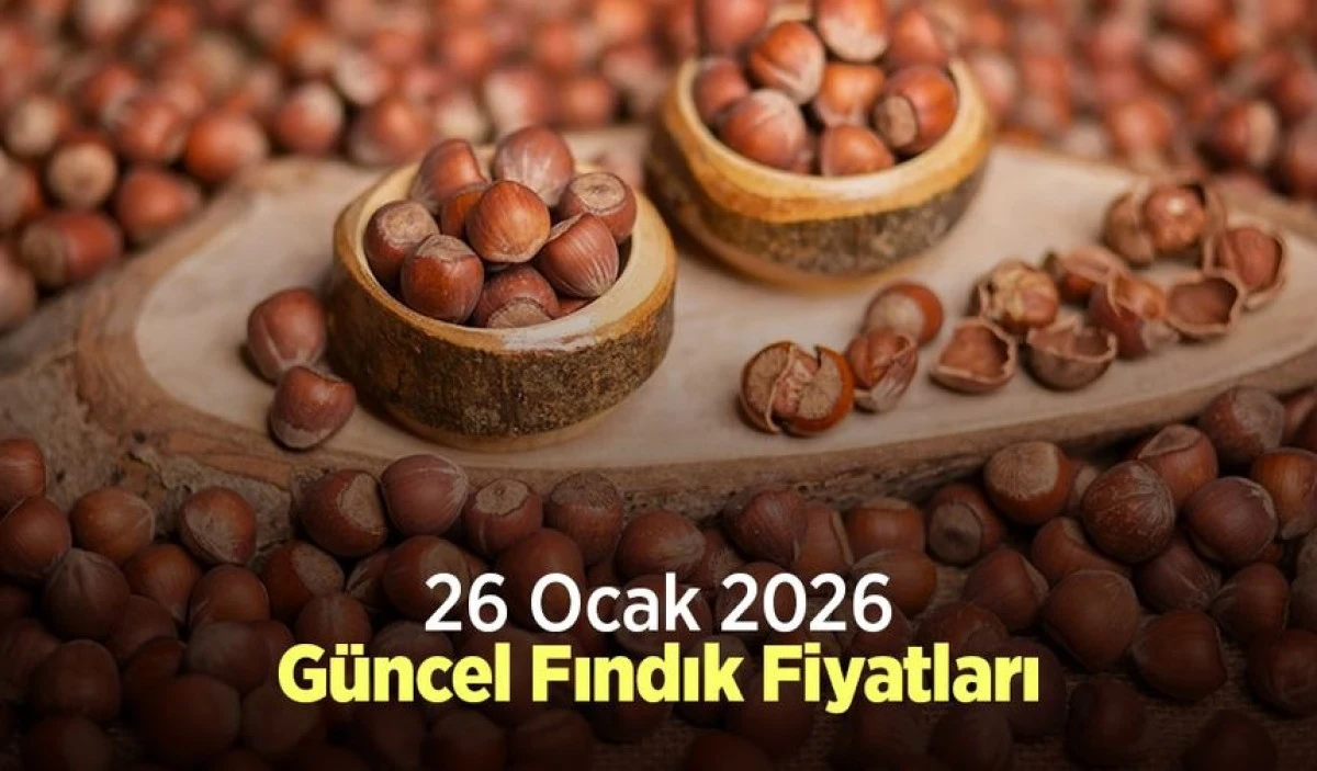 26 Ocak 2026 itibariyle T&uuml;rkiye'deki g&uuml;ncel fındık fiyatları