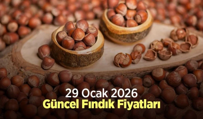 29 OCAK  PERŞEMBE  2026 G&Uuml;NCEL FINDIK FİYATLARI