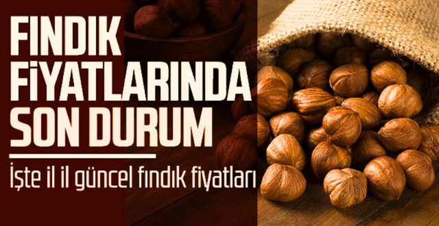 3 Mart 2025 Pazartesi Günü Fındık Fiyatları