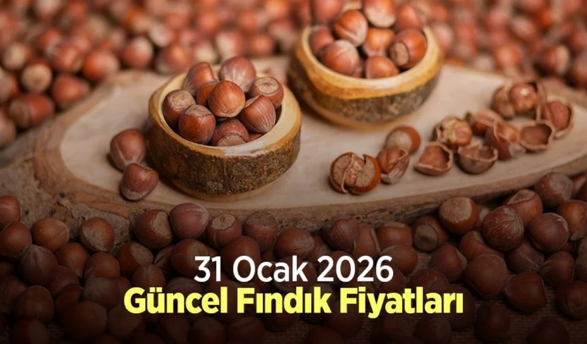 31 OCAK CUMARTESİ 2026 G&Uuml;NCEL FINDIK FİYATLARI