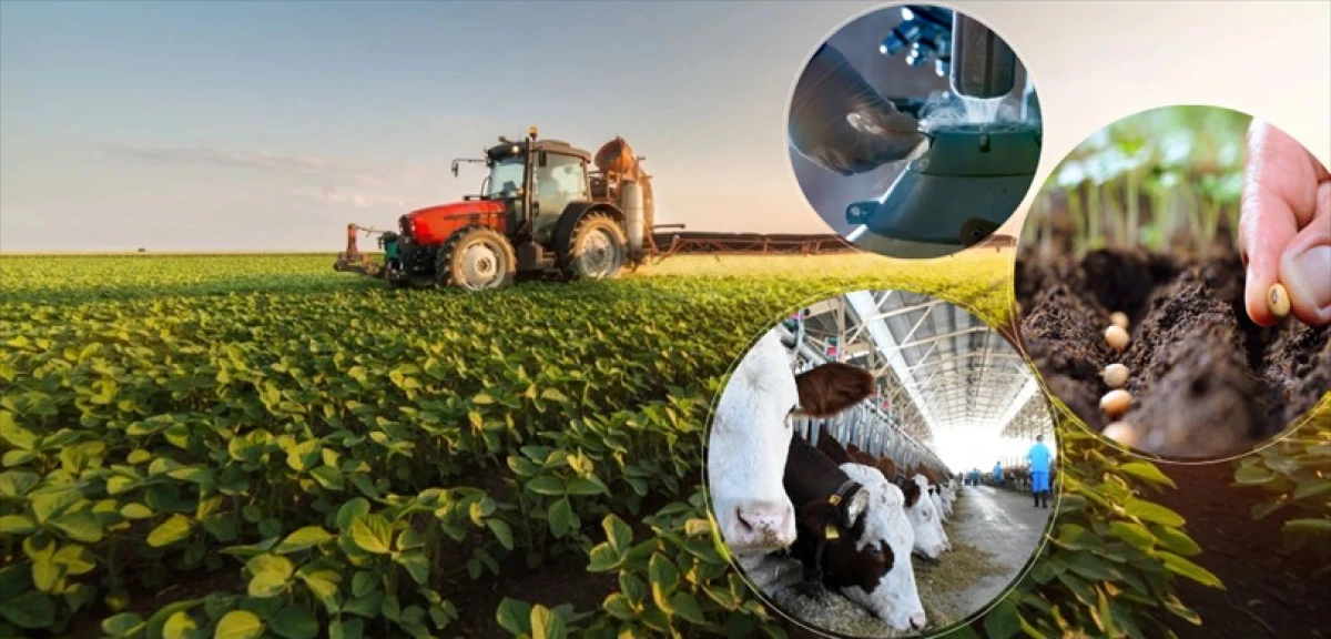 338 MİLYON LİRALIK DESTEKLEME &Ouml;DEMESİ BUG&Uuml;N HESAPLARA AKTARILIYOR