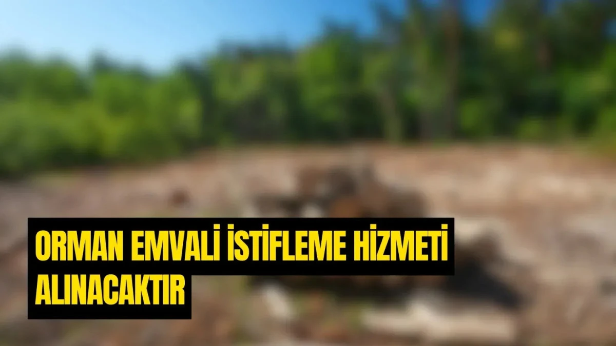 59.000 m&sup3; orman emvali i&ccedil;in &ouml;l&ccedil;&uuml;m ve boylama hizmeti alınacaktır