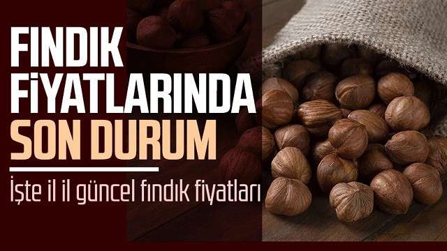 7 OCAK PAZAR 2024 İL İL FINDIK FİYATLARI