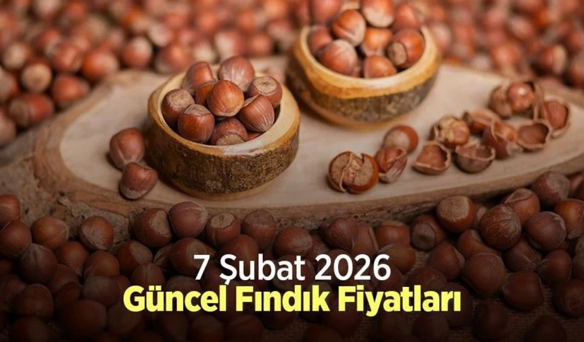 7 ŞUBAT  2026 G&Uuml;NCEL FINDIK FİYATLARI