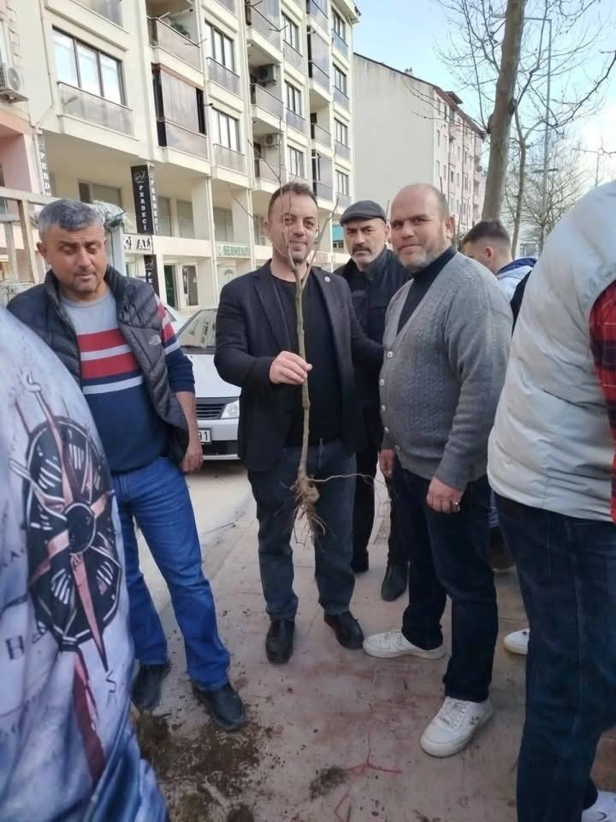 700 Adet Hacia Hurması Fidanı Ak&ccedil;akoca&rsquo;da Toprakla Buluşuyor