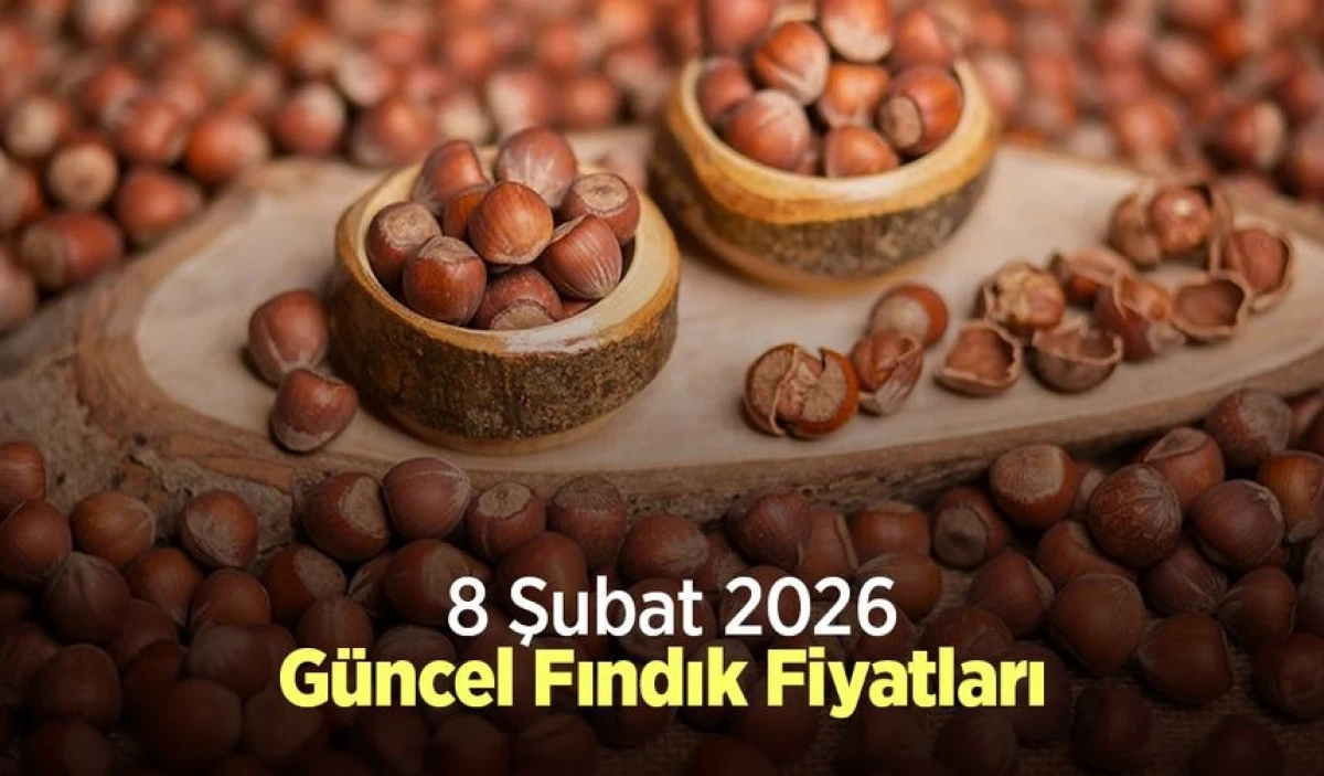 8 ŞUBAT  2026 G&Uuml;NCEL FINDIK FİYATLARI