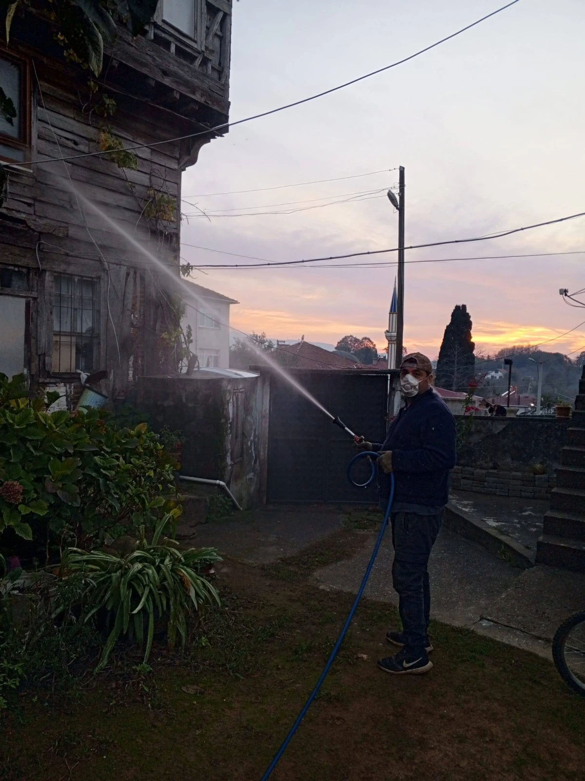 Akçakoca da,kahverengi kokarca ile kışlak mücadelesi devam ediyor