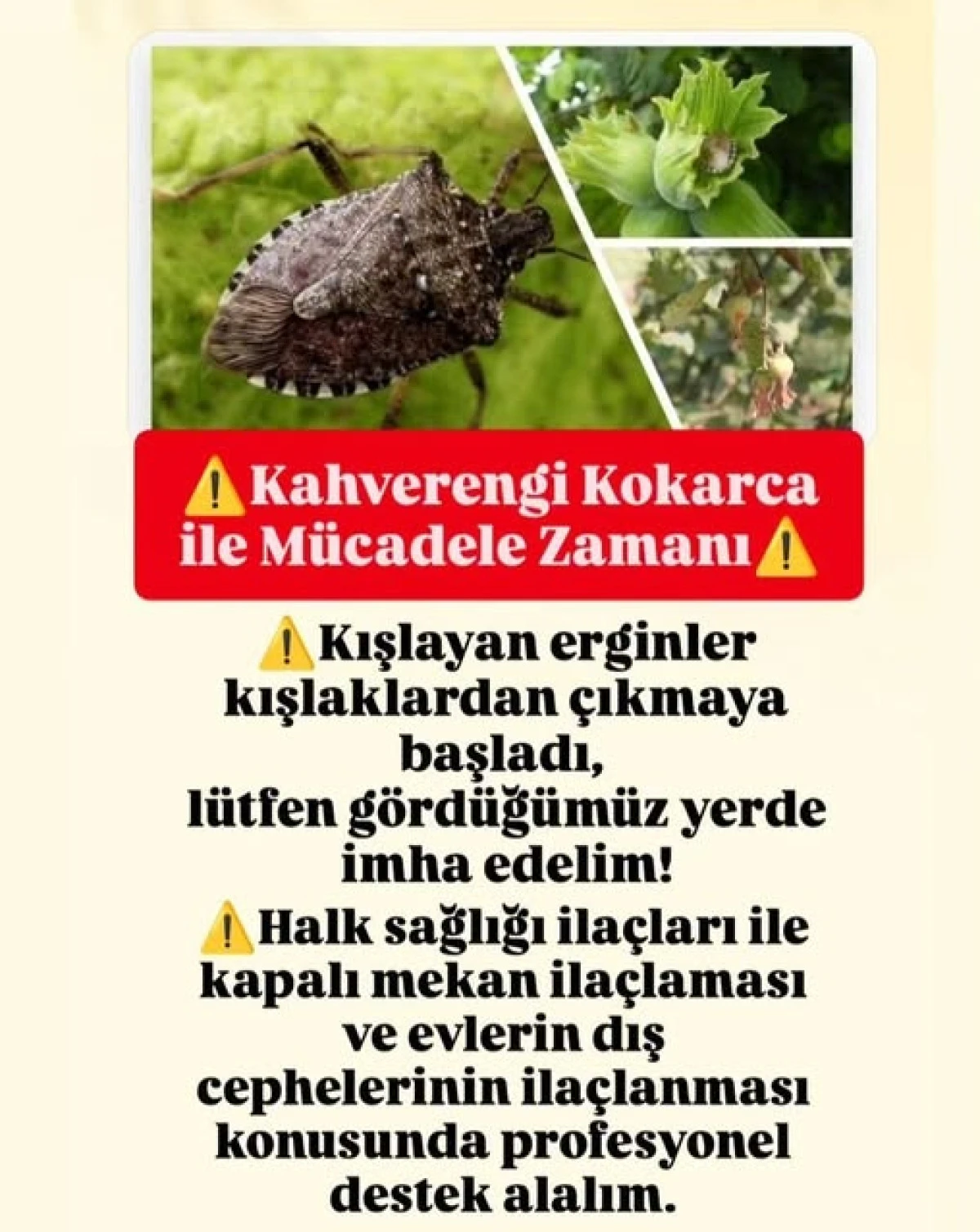 AK&Ccedil;AKOCA ZİRAAT ODASI YİNE UYARDI -TARIMIN GİZLİ D&Uuml;ŞMANI UYANDI