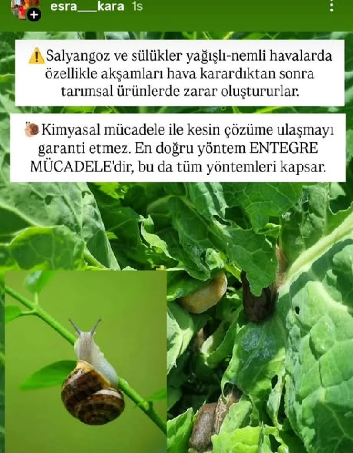 AK&Ccedil;AKOCA ZİRAAT ODASINDAN &Ccedil;İFT&Ccedil;İLERE &Ccedil;AĞRI