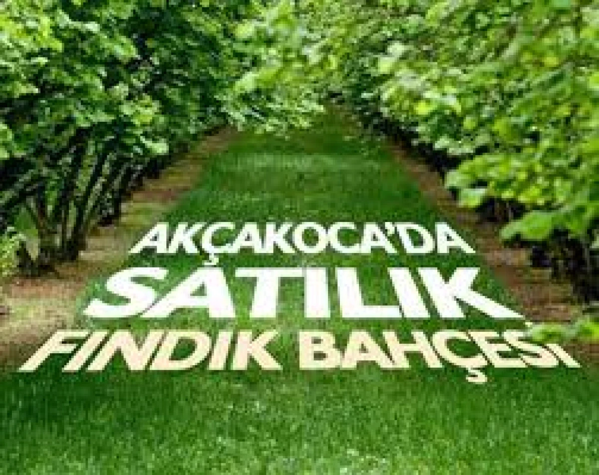 Ak&ccedil;akoca'da 6713m&sup2; fındık bah&ccedil;esi mahkemeden satılacak