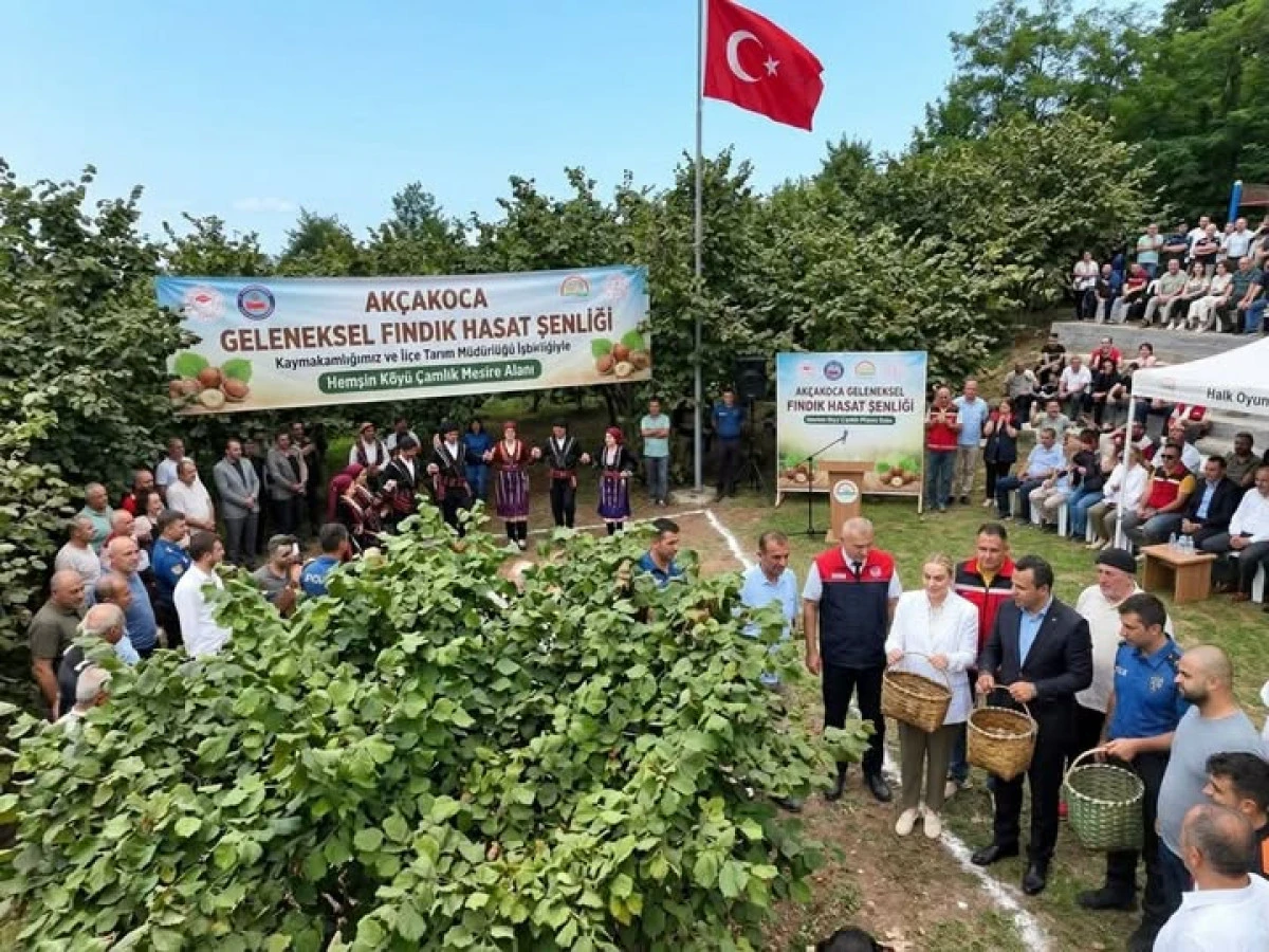 AK&Ccedil;AKOCA&rsquo;DA FINDIK BEREKETİ: GELENEKSEL HASAT ŞENLİĞİ COŞKUYLA GER&Ccedil;EKLEŞTİ