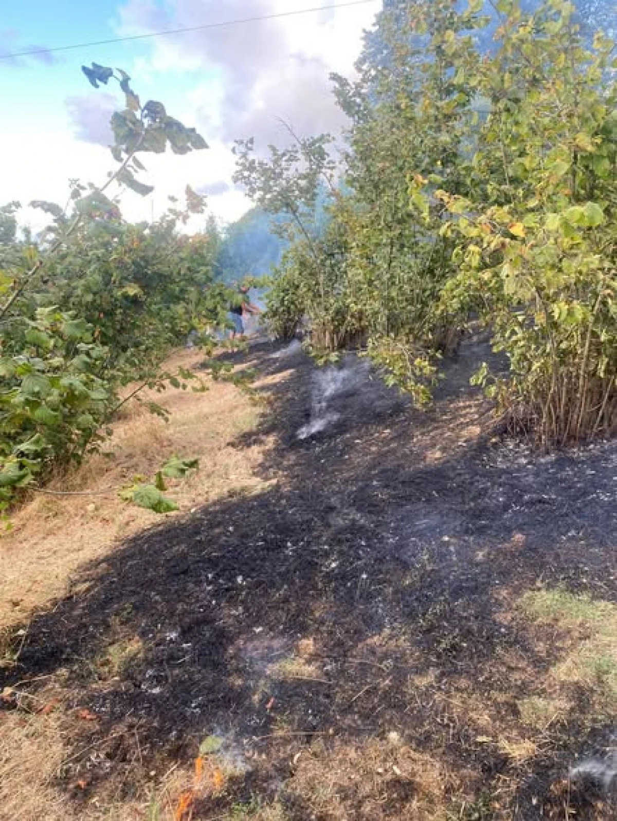 Ak&ccedil;akoca&rsquo;da Fındıklık Yangını