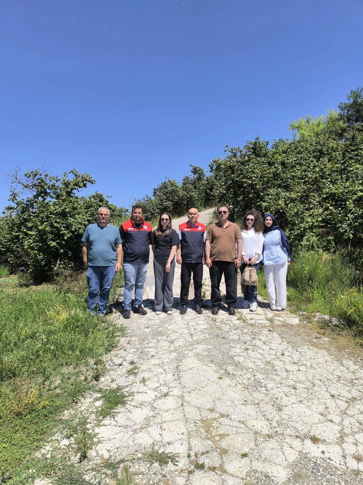 Ak&ccedil;akoca'da Tahmini Fındık Rekoltesi &Ccedil;alışmaları S&uuml;r&uuml;yor