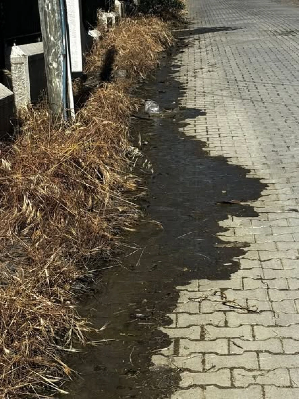 AKEVLER SİTESİ&rsquo;NDE VATANDAŞ İSYANI: &ldquo;HER YER &Ccedil;UKUR, HER YER PİSLİK&rdquo;