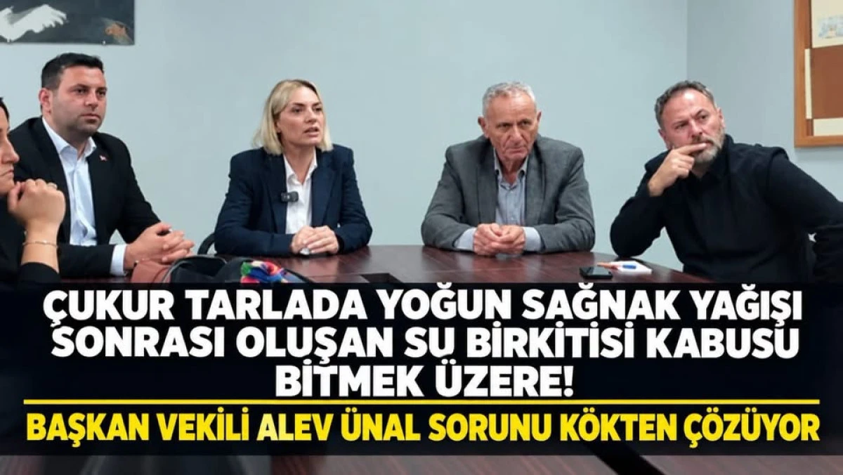ALEV &Uuml;NAL DAN TALİMAT