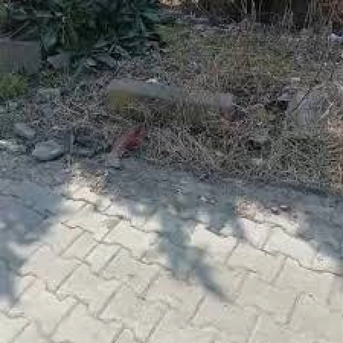 AYAZLI MAHALLESİ&rsquo;NDE TEMİZLİK TEPKİSİ: TERETUVAR VE &Ccedil;&Ouml;P SORUNU B&Uuml;Y&Uuml;YOR!