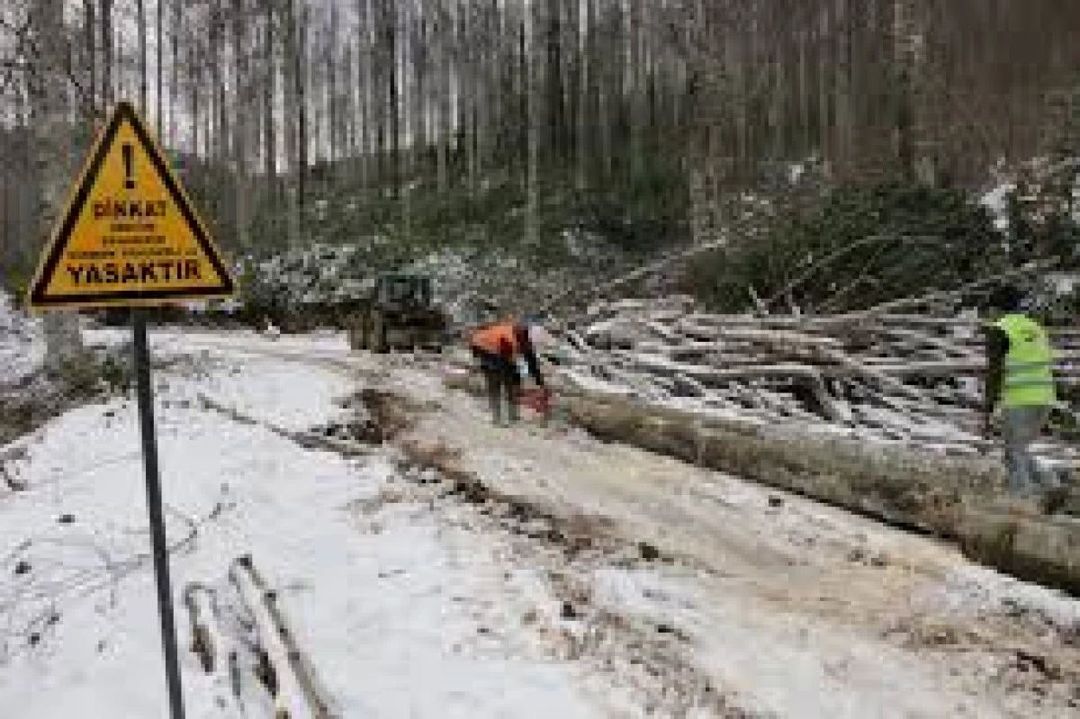 Aydınlatma işi yaptırılacak