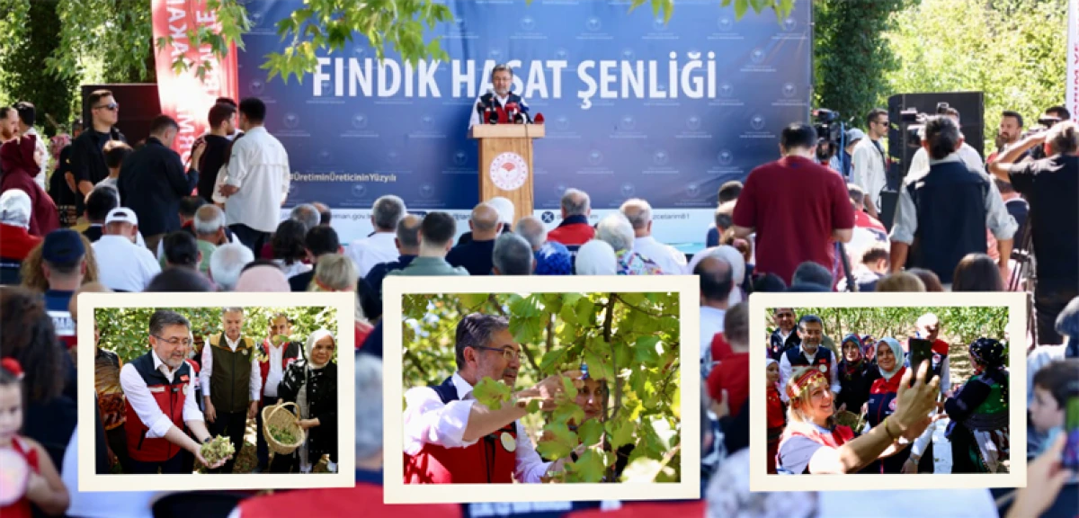 BAKAN YUMAKLI, DÜZCE'DE FINDIK HASADINA KATILDI