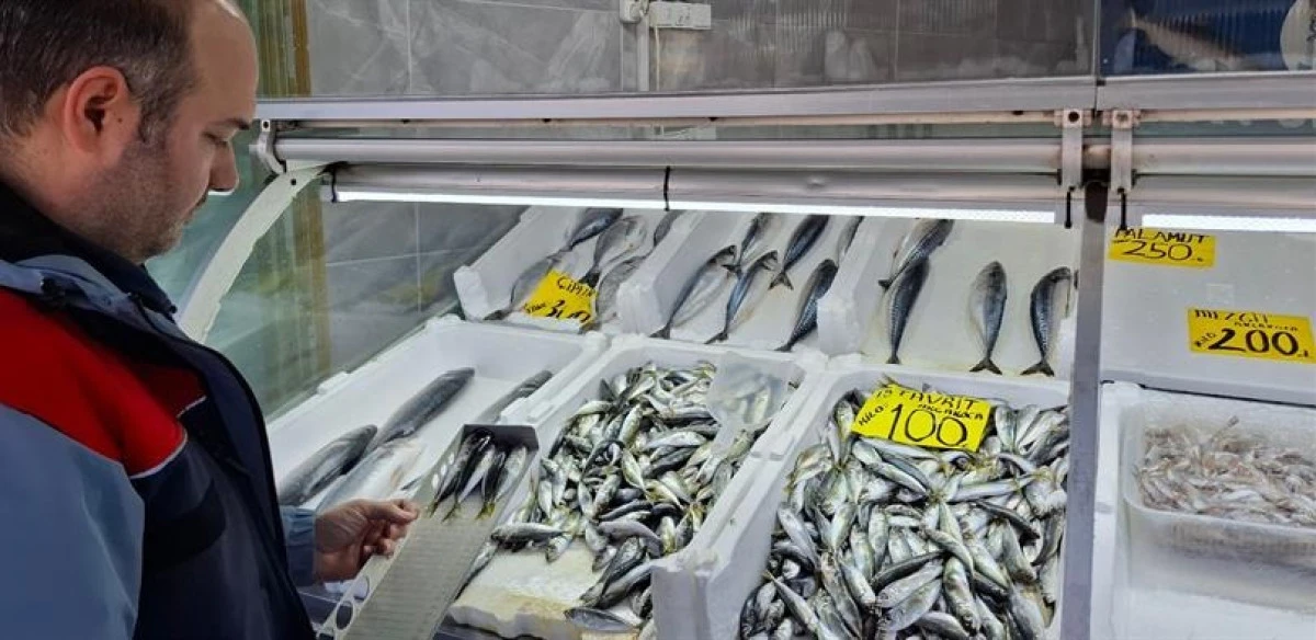 BALIK SATIŞ YERLERİ DENETLENDİ