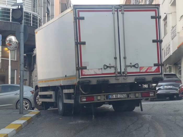 Balık suyu yola aktı