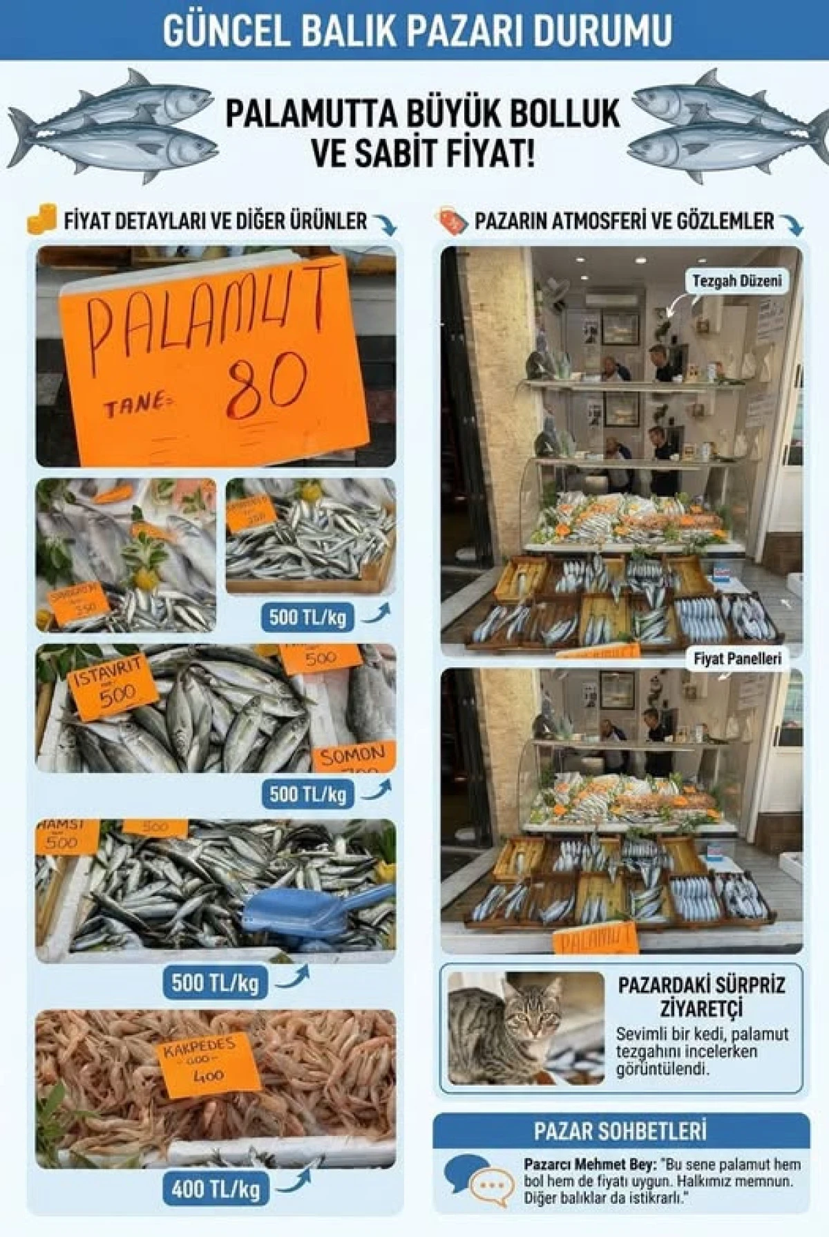 Balık Tezgahlarında Palamut Bereketi: Tanesi 80 TL&rsquo;den Satışa Sunuluyor