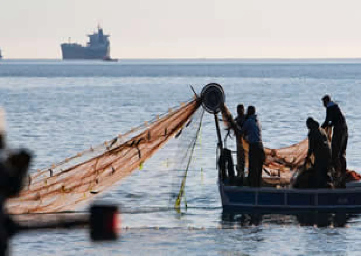 Balıkçılık sektörü zor günler geçiriyor