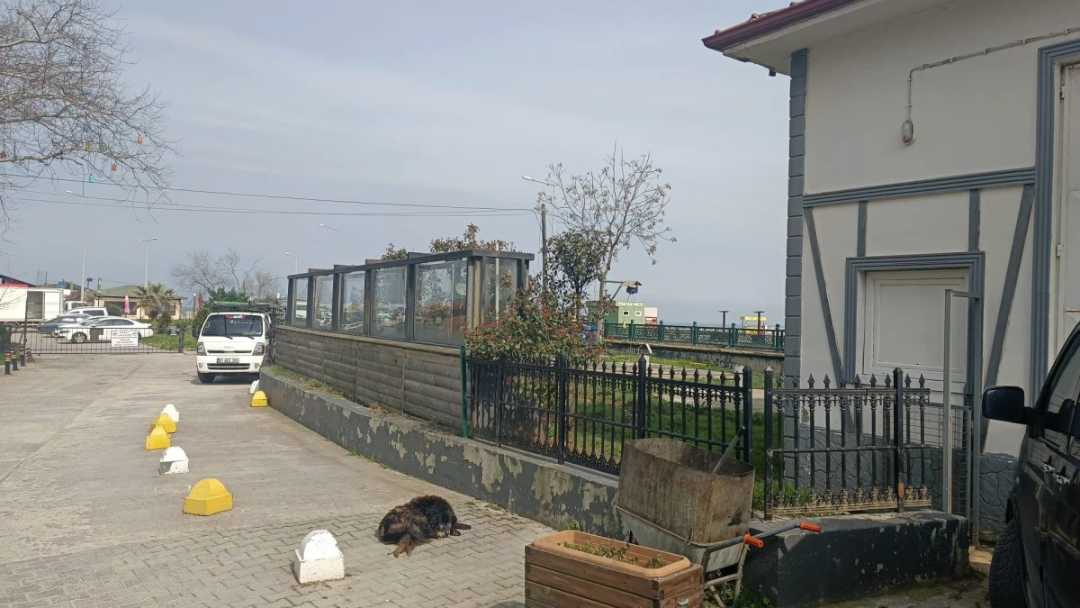 Barınak İ&ccedil;i Akvaryumun Akıbeti Ne Olacak? Kamu Kaynağı &Ccedil;&ouml;pe mi Gitti?      