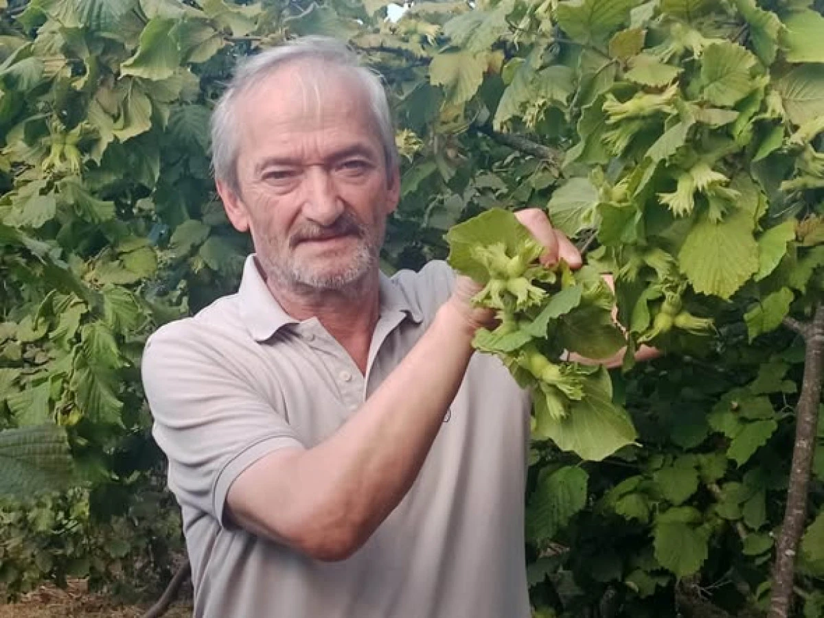 BAŞKAN H&Uuml;SEYİN YILGIN&rsquo;DAN FINDIK HASADI &Ouml;NCESİ &Uuml;RETİCİLERE &Ouml;NEMLİ MESAJ