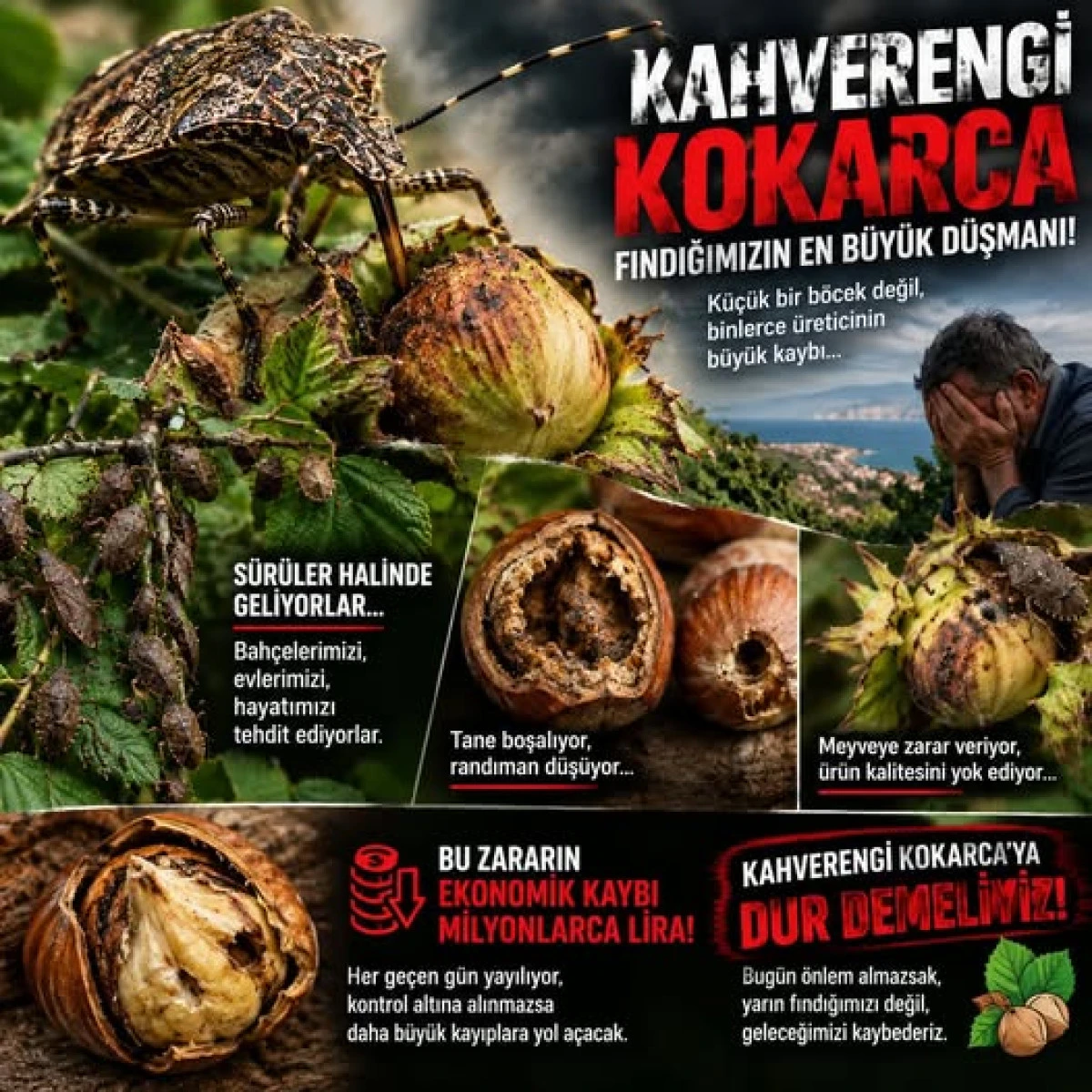 BAŞKAN MUTİOĞLU FINDIK&Ccedil;ININ CANI YANDIĞINI S&Ouml;YLEDİ