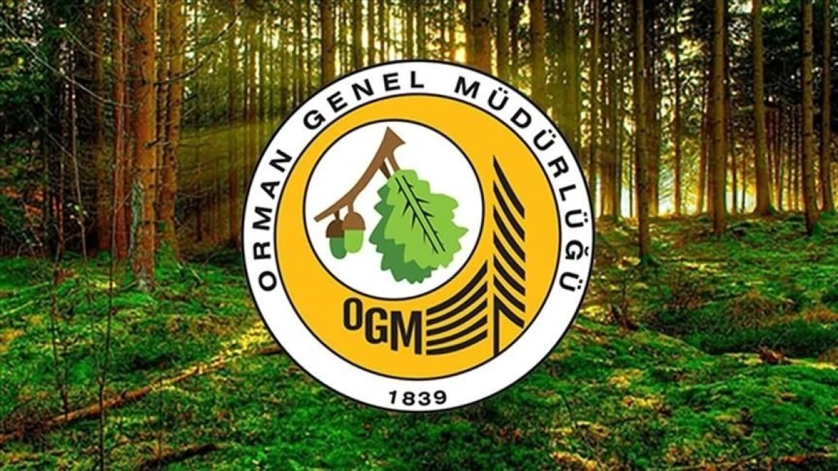 BOLU ORMAN MÜDÜRLÜĞÜ 3 ENGELLİ 2 ESKİ HÜKÜMLÜ İŞÇİ ALACAK