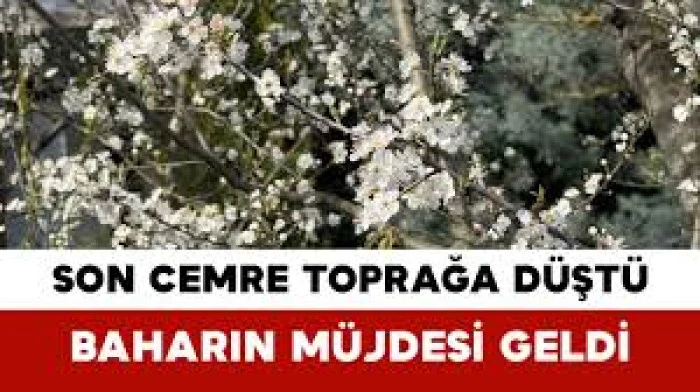 CEMRE TOPRAĞA D&Uuml;ŞT&Uuml;