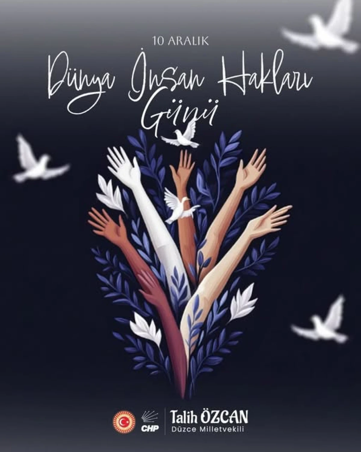 Chp  Vekil Talih Özcan dan,10 Aralık Dünya İnsan Hakları Günü Mesajı