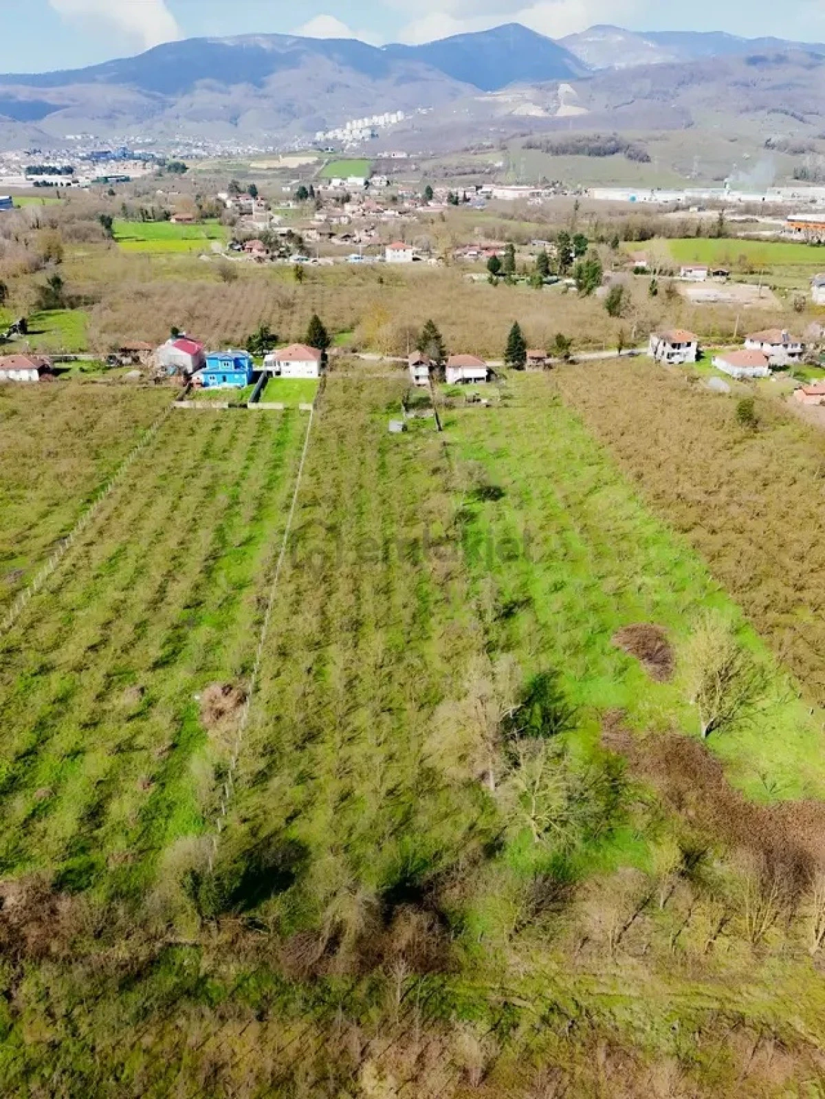 &Ccedil;ilimli'de 2123m&sup2; tarla mahkemeden satılacak