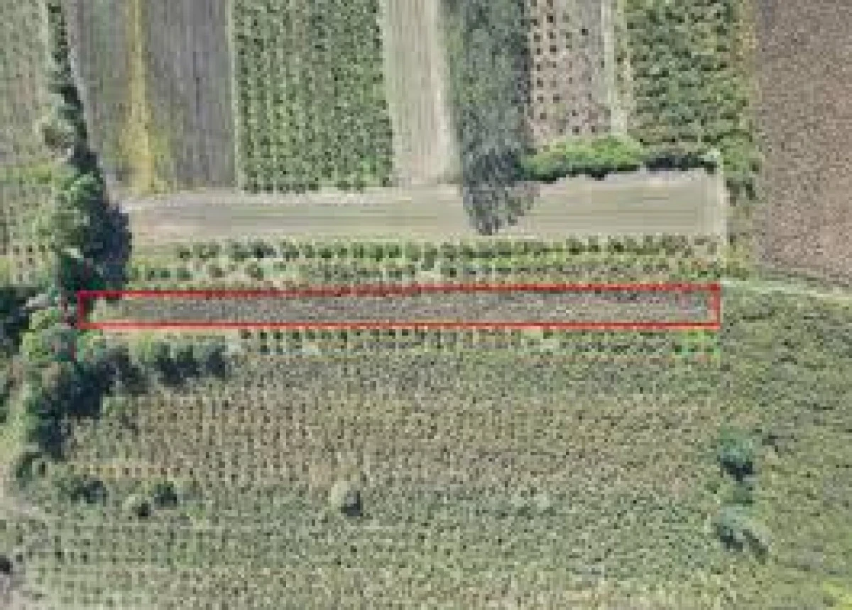 Çilimli'de taşınmaz mahkemeden satılıktır