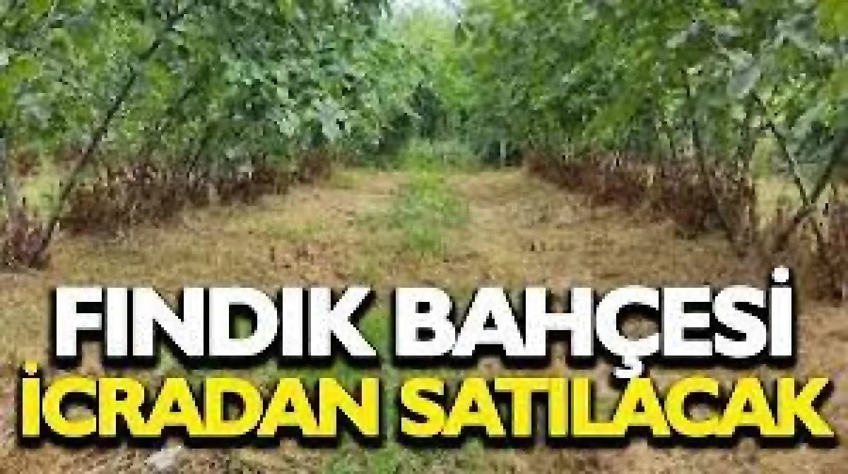 Cumayeri'nde taşınmaz mahkemeden satılıktır