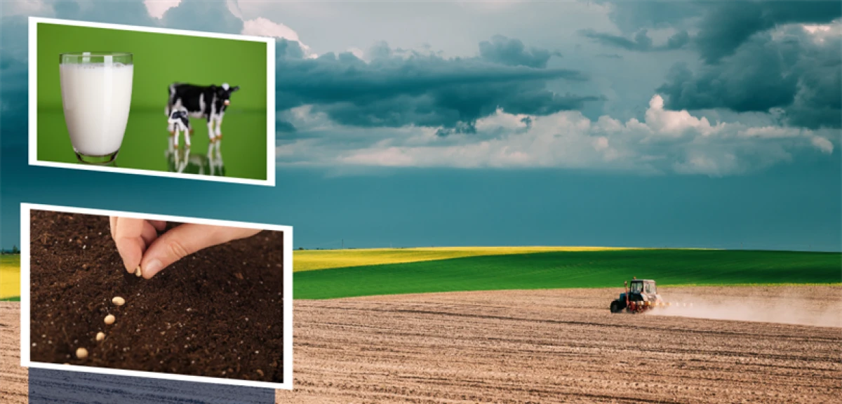 DESTEK ÖDEMESİ BUGÜN ÇİFTÇİLERİN HESAPLARINA AKTARILIYOR