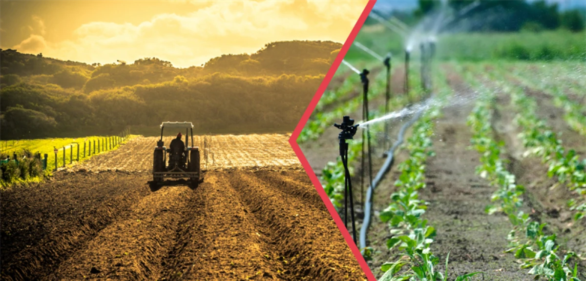 DESTEKLEME ÖDEMESİ BUGÜN HESAPLARA AKTARILIYOR