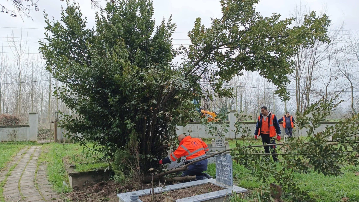 D&Uuml;ZCE BELEDİYESİ EKİPLERİ MEZARLIKLARDA BAKIM &Ccedil;ALIŞMASI YAPIYOR
