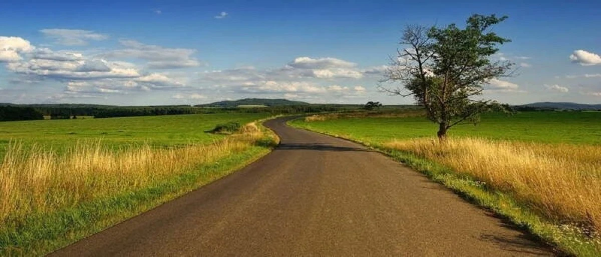 D&uuml;zce Merkez'de 2.980 m&sup2; tarla mahkemeden satılıktır