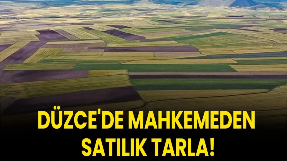 D&uuml;zce Merkez'de 6967m&sup2; tarla mahkemeden satılacak